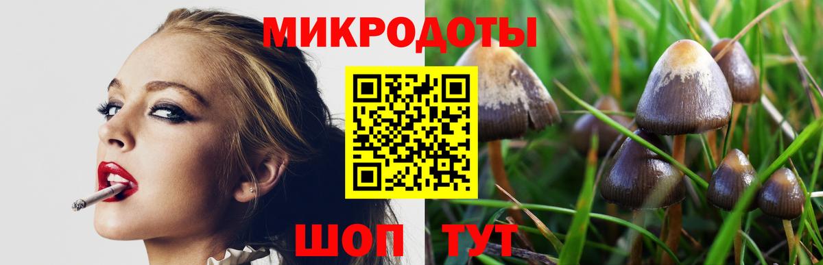 Галлюциногенные грибы Cubensis Красноярск